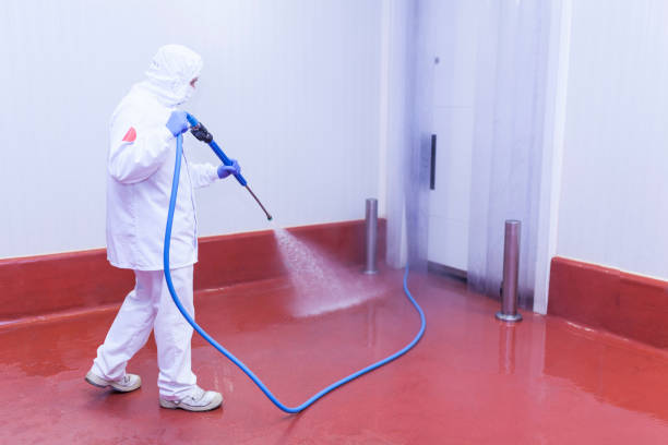 Best Spring Cleaning  in Trenton, IL