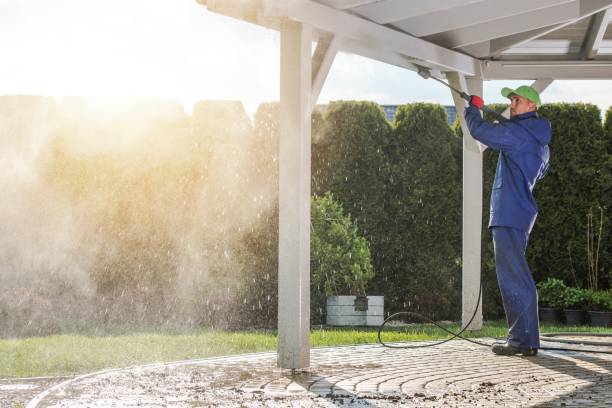 Best Patio and Deck Pressure Washing  in Trenton, IL