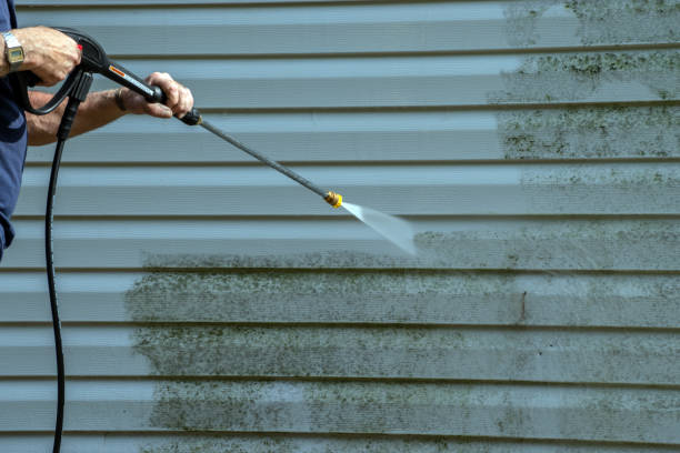 Best Animal Enclosure Cleaning  in Trenton, IL